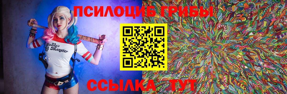 Галлюциногенные грибы Psilocybe Камышлов