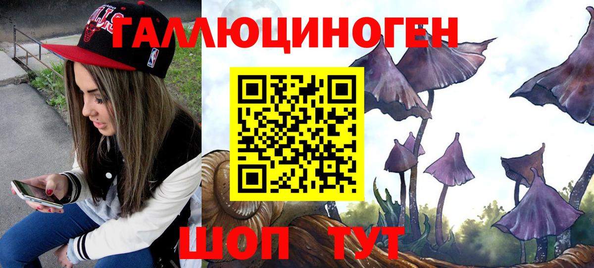 Галлюциногенные грибы прущие грибы  наркотики  Камышлов  Вход с VPN 